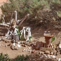 Bones on the entrance of the Sous Massa National Park